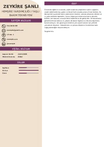 Hasta ve Yaşlı Bakım Elemanı Cv Örnekleri cv indir